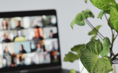 Création de site pour psuchologue