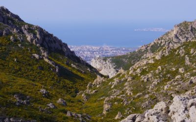 Pourquoi la ville de Marseille devrait encourager la création de sites internet