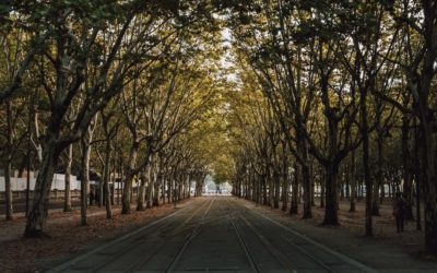 Les avantages d’un site internet pour les agences immobilières de Bordeaux