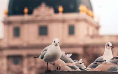 Utiliser un site internet pour développer la notoriété des artistes de Lyon