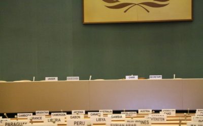 Guyane : Pourquoi les associations guyanaises devraient investir dans un site internet