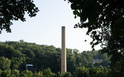 Réunion : Les avantages d’un site internet pour les agences de photographie et les photographes professionnels réunionnais