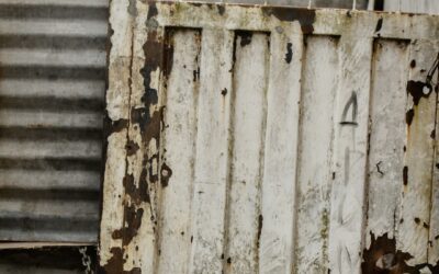 L’Importance des Balises Meta : Guide Complet