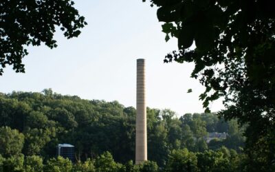 Stratégies de Contenu pour les Utilisateurs Mobiles : Comment Adapter Votre Contenu