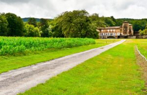 real estate agency — How to optimize a real estate agency’s organic search ranking